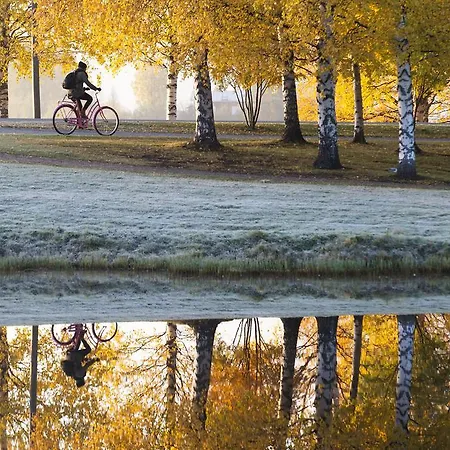 Rovaniemi City Apartments *