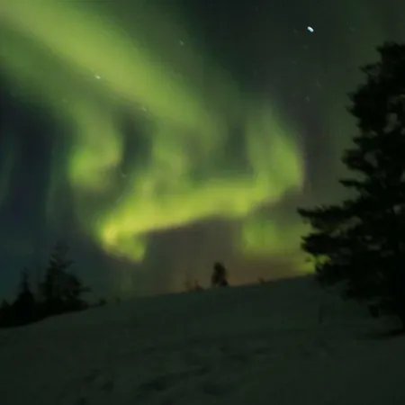 Rovaniemi City Apartments Rovaniemi