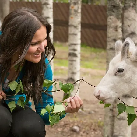 Rovaniemi City Apartments *