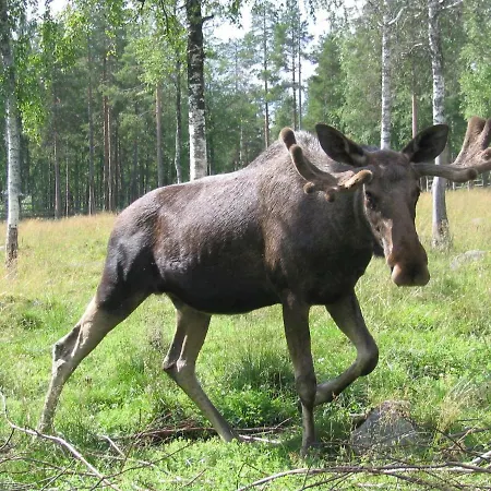 Rovaniemi City Apartments Apartmán *